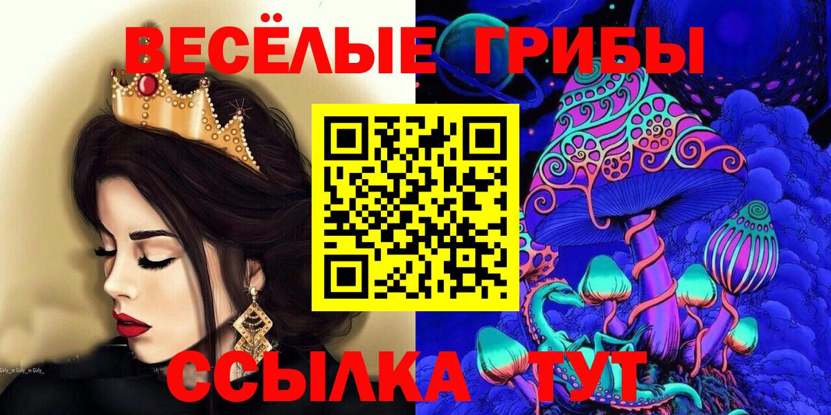 Псилоцибиновые грибы Psilocybine cubensis  Вход с VPN  Владимир 