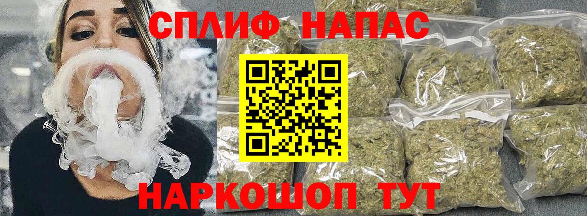 Бошки Шишки планчик Владимир